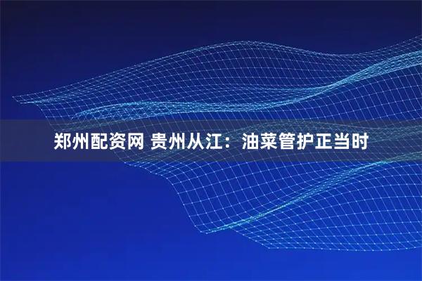 郑州配资网 贵州从江：油菜管护正当时